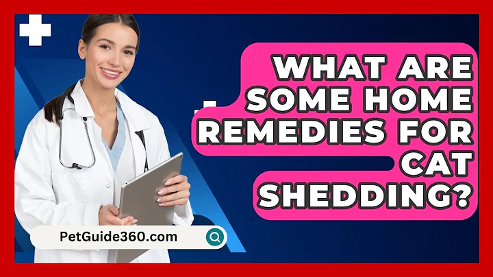 What Are Some Home Remedies For Cat Shedding? - PetGuide360.com