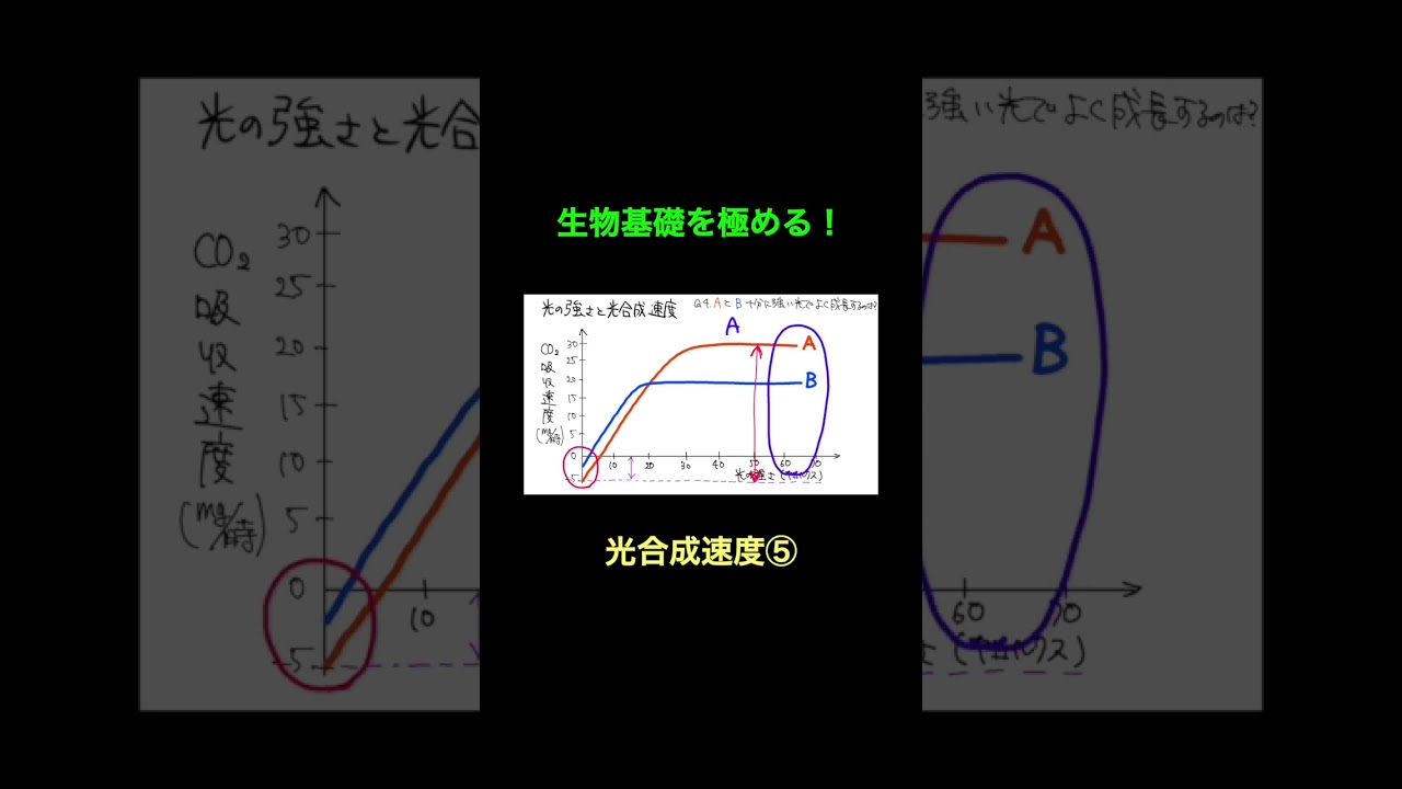 91光合成速度5 #生物基礎