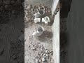 Alhamdullah skills is Best🥰 #plumber #likeandsubscribe #construction #toilet #viral #makemoneyonline