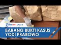 Fakta Unik Morel Mushrooms, Jamur Beracun yang Jadi Hidangan Lezat di Finlandia