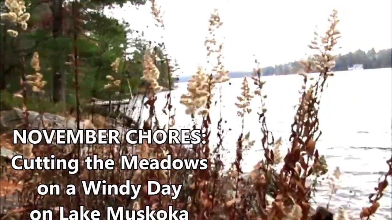 November Meadow Care