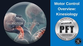 Celebrity Motor Control Overview: Kinesiology | Fitness Professional Education Profile