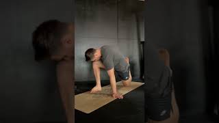 Twisted Lizard Stretch