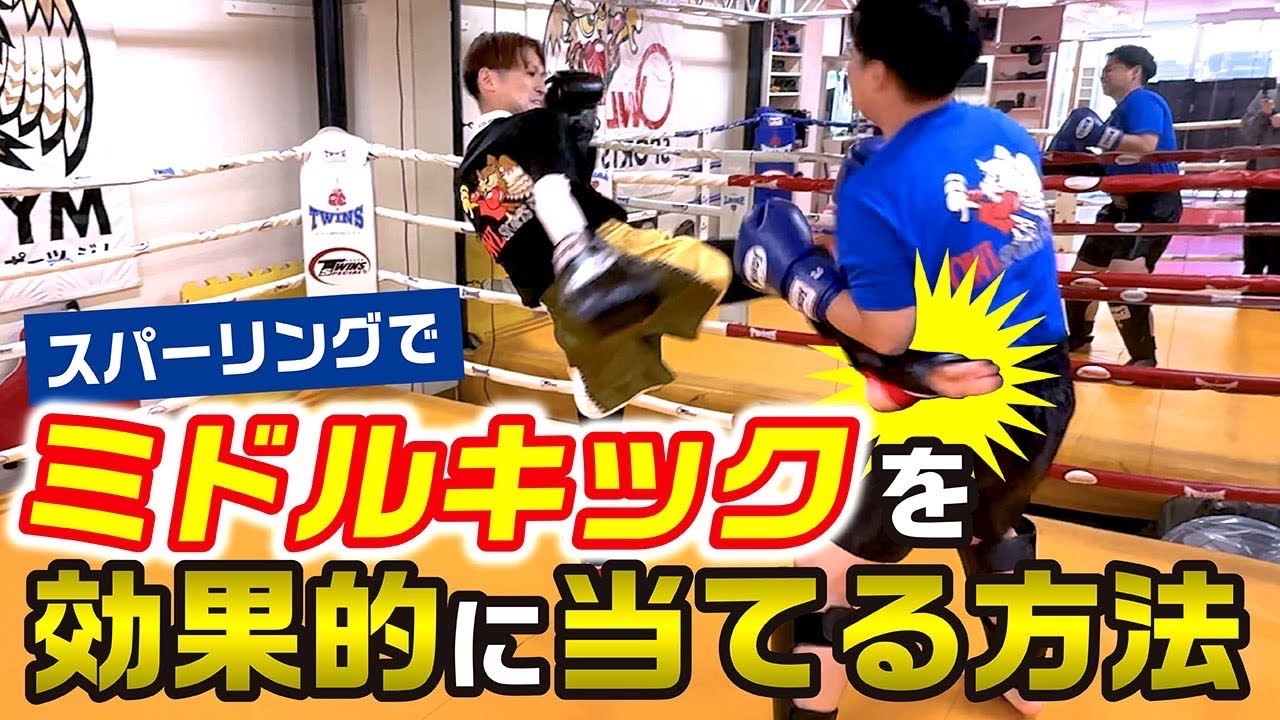【効果抜群】スパーリングでミドルキックを効果的に当てる方法〜スパーリング上達のために〜