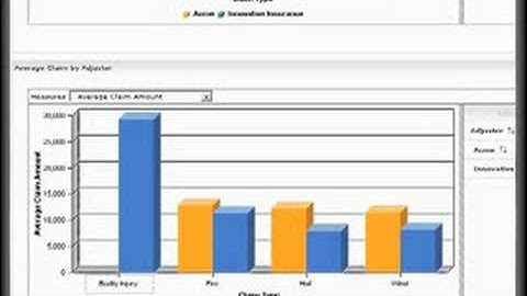 IBM Business Process Management