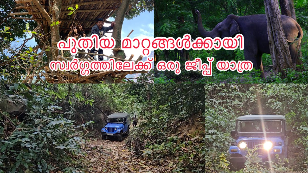 നമ്മുടെ ഏറുമാടം രണ്ട് നിലയാക്കിമാറ്റി ✌️