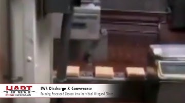 IWS Discharge & Conveyance | Cheese Slices | HART Design & Manufacturing