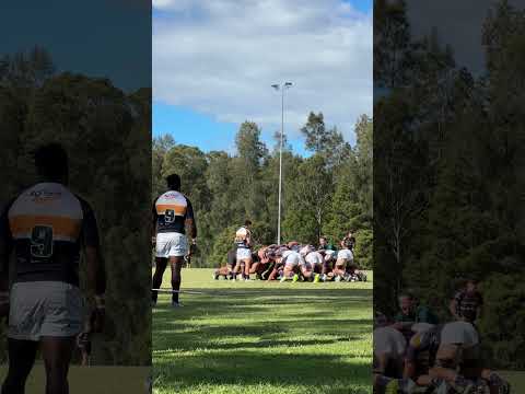 #FirstGrade #rugby : #WestHarbour v #Brumbies 🏉  #scrum #sydneyrugby #shorts #sports