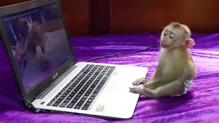 OhGod!! Moly Watch Video Till Asleep | Most Adorable &amp; Obediently Baby Monkey