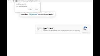 Mol9.biz push notifications - how to remove?