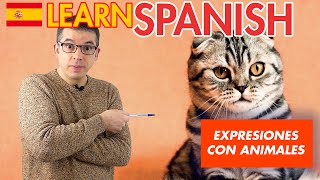 ✅ 7 Useful Animal Idioms in Spanish - Learn Spanish by Listening & Speaking 🙉