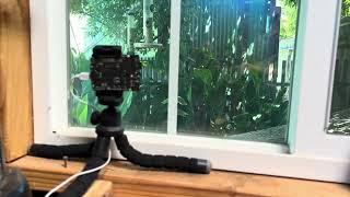 IMG 6562 detecteSq 1080p