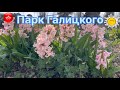 17 марта 2026 в Парке Галицкого полный Обзор