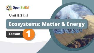 Celebrity Unit B.2 Lesson 1 Planning Video | OpenSciEd On-Demand Resources Profile