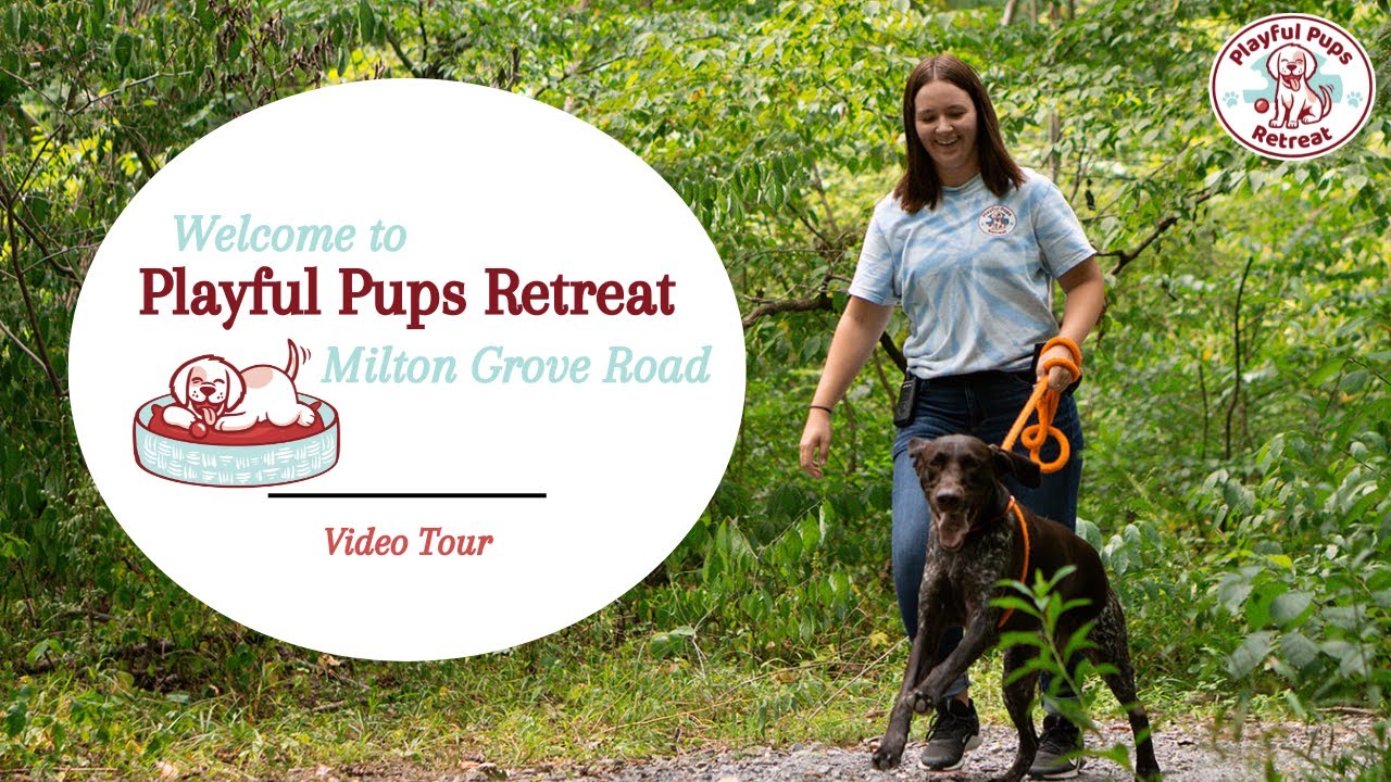 to Milton Grove Road! YouTube