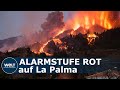 VULKANAUSBRUCH auf LA PALMA: Große Evakuierung – Vulkan speit nach 50 Jahren wieder Lava I WELT News