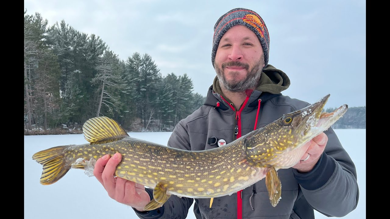 Crappies, Gills, & Pike! Wisconsin Ice Fishing! YouTube