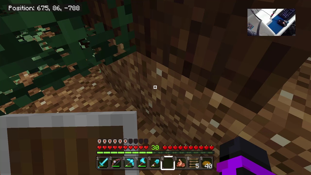 DOES SUGAR CANE GROW THIS HIGH YouTube
