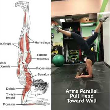 Forearm Stand Breakdown