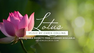 Lotus — Zen Music for Harmony, Healing, and Peace