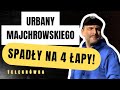 Wynajęła OWCĘ za 6000 złotych za godzinę. Ma nową pracę!