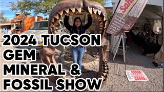 INSANE FOSSILS at the 2024 Tucson Gem Mineral and Fossil Show