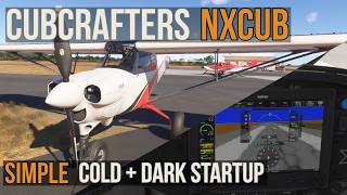Celebrity Microsoft Flight Simulator 2024 Cubcrafters NXCub Cold and Dark Startup Tutorial Profile