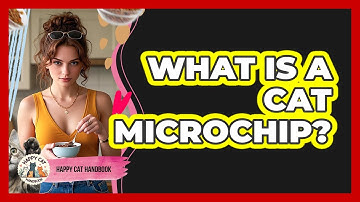 What Is a Cat Microchip?