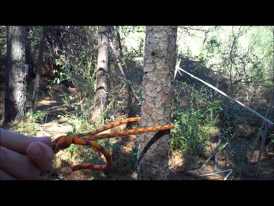 Knots You Must Know(Easy Survival) - YouTube