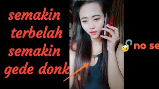Kumpulan  Tiktokdj Tante Culik Aku Donk