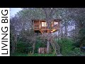 Could this Tree House in France be the Ultimate Retirement Project?