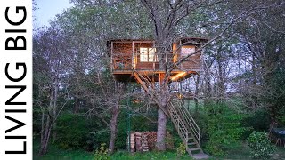 Could this Tree House in France be the Ultimate Retirement Project?
