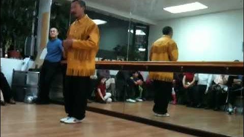 Master Wang Rengang Xiao Fanche Plum Blossom Mantis Kung-fu