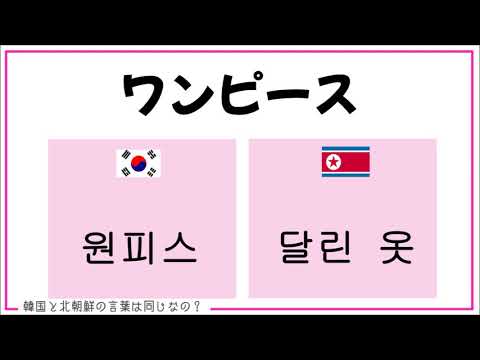 韓国と北朝鮮の言葉の違い Youtube