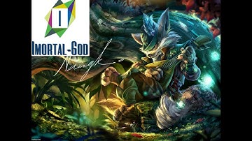 Heroes of Order & Chaos   Random Laggy Rift