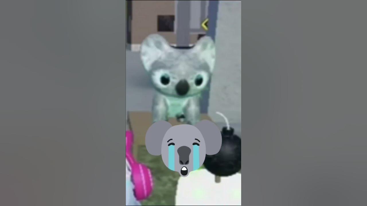 Team Koala vs Team Robux cual eligen? YouTube