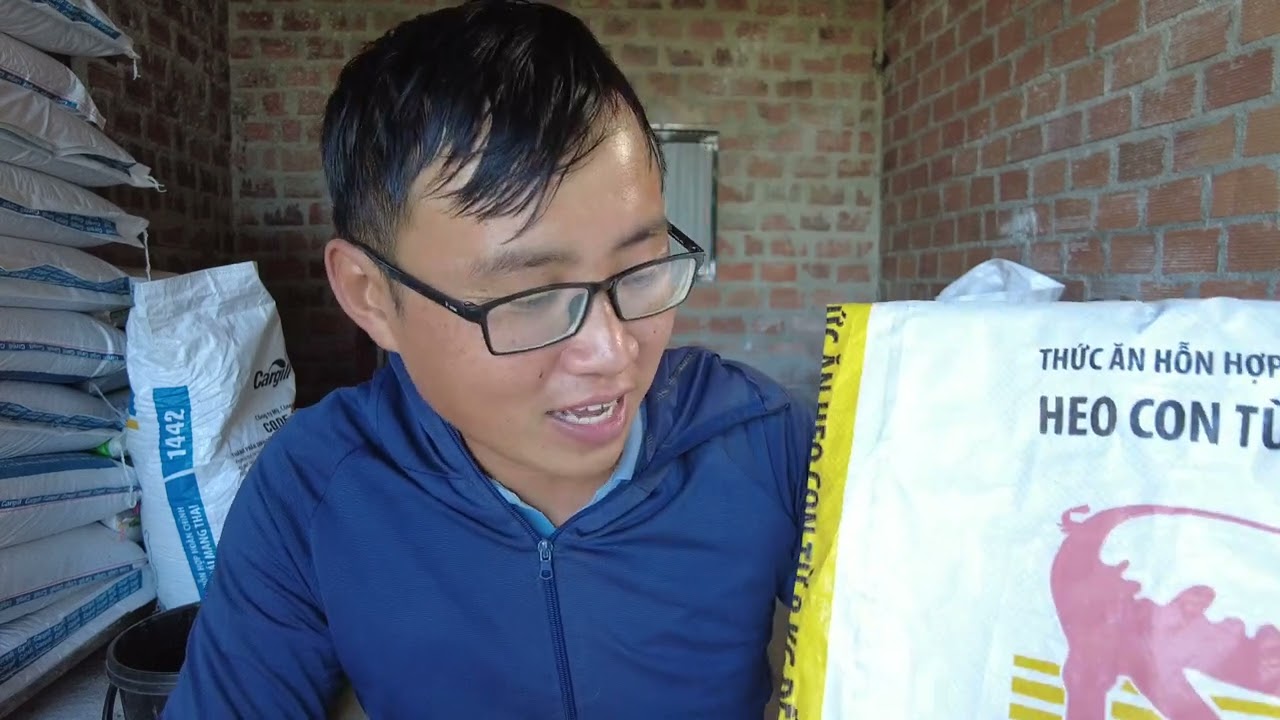 Mùng 8 Tết Giá Heo Neo Mốc 70 Giá Vàng Lên Đón Thần Tài