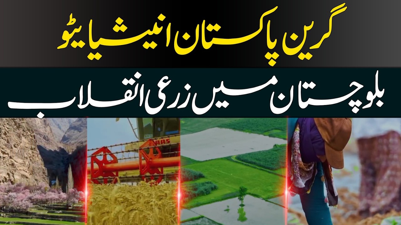 Green Pakistan Initiative: The Dawn of an Agricultural Revolution in ...