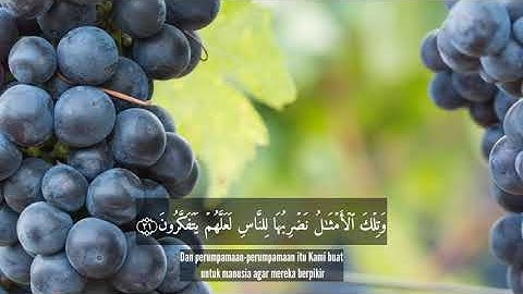 QS: Al-Hasyr: 18-24  سورة الحشر Salim Bahanan...