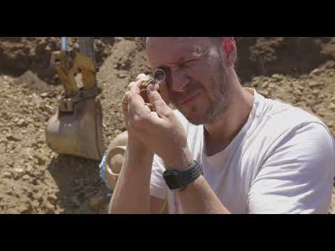 Rare new fossil discovery from Western Queensland | Project DIG