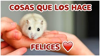 COSAS QUE HACEN FELIZ A UN HAMSTER