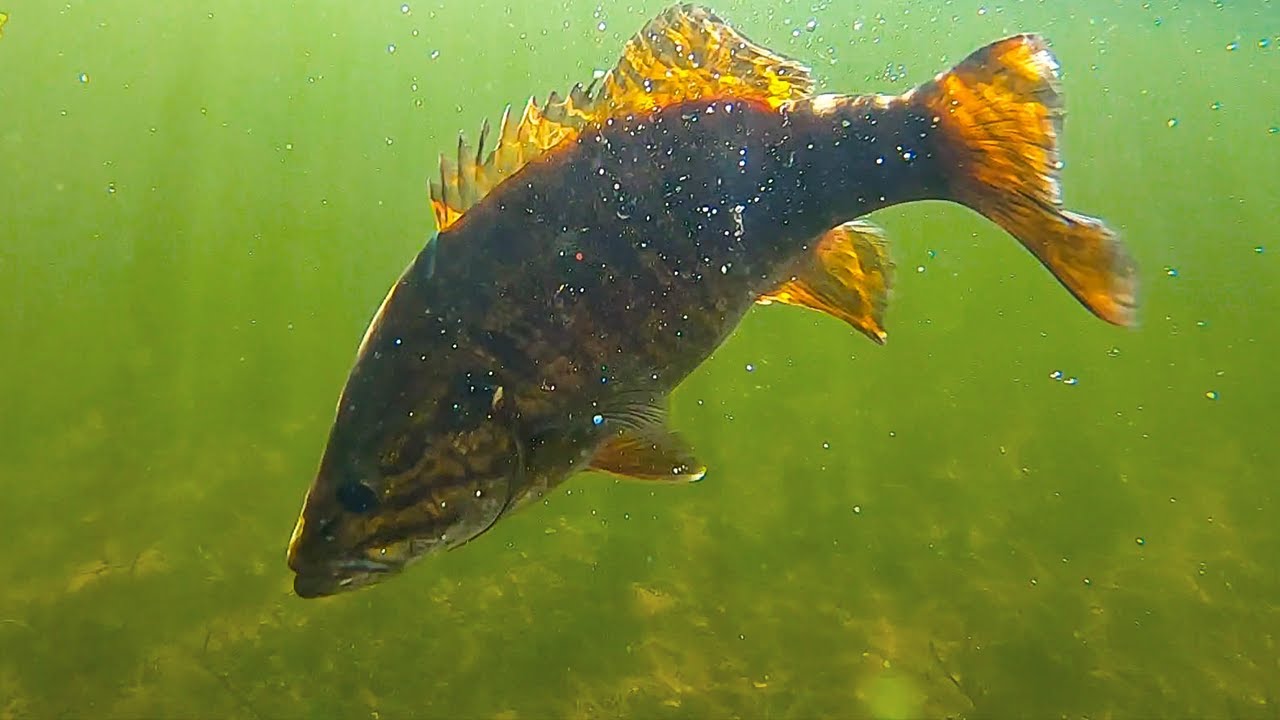 Last Open Water Fishing of the Year