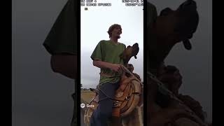 Shaggy and Scooby run away from cops on a giraffe 🦒 😂😂!! #funnyvideo #ai #2025 #scoobydoo #funny