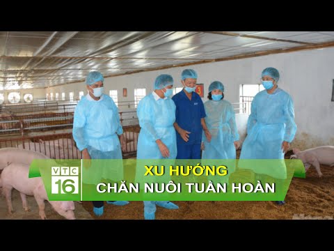 Xu hướng chăn nuôi tuần hoàn trong nông nghiệp | VTC16