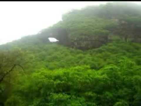 Natural Forests of Arabia (Yemen)