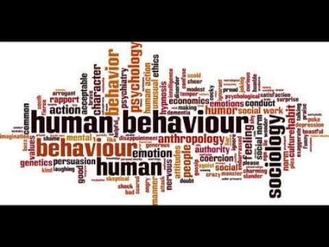Video Ứng dụng kinh tế vi mô phân tích hành vi con người,... - youtube