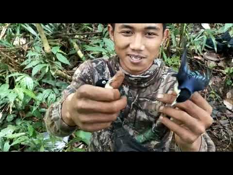 rambatan paruh puyih/kesper /rambatan doraemon