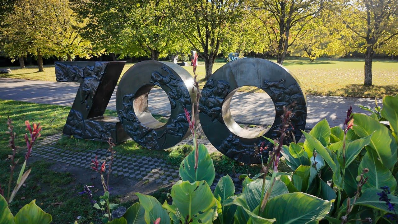 Exploring Tallinn Zoo! A Day with Fascinating Wildlife! (Natural Sound)