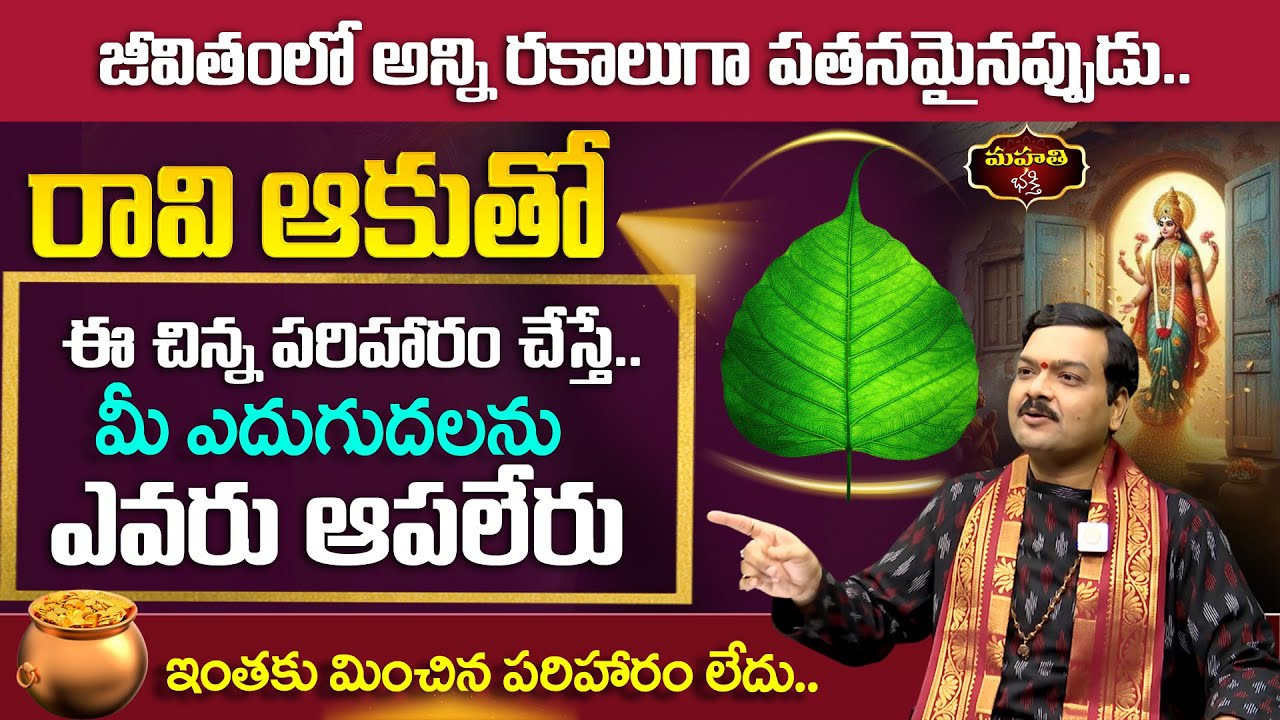 Machiraju  : జీవితంలో అన్ని రకాలుగా పతనమైనప్పుడు.. రావి ఆకుతో ఈ చిన్న పరిహారం చేస్తే.. మీ ఎదుగుదల