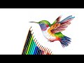 How to draw a hummingbird  easy drawing